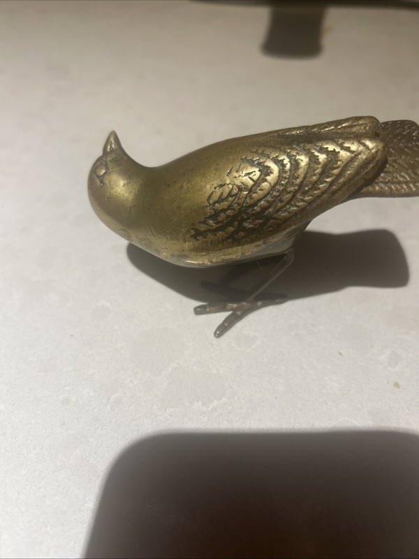Beautiful Bronze Bird 