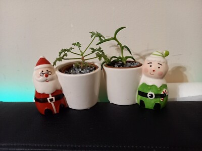 2er Set Deko Keramik rot Weihnachten Pflanztöpfe Kerze oder Geschenke Weihnachtsmann