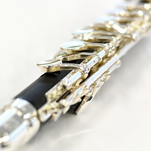 Kaerntner Piccolo KPC-320 With semi-hard case Silver plating finish JAPAN #h84 - Picture 8 of 8