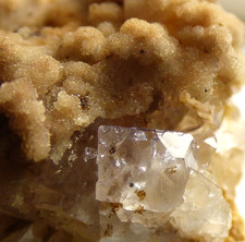 Smithsonite Fluorite Coldstones Quarry Yorkshire UK Mineral Specimen 28mm