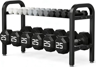 2 Tier Dumbbell Rack Weight Rack Home Gym 300 lb Capacity