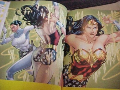 WONDERWOMAN, AMAZON, HERO, ICON by GREENBERGER; DC COMICS HISTORY