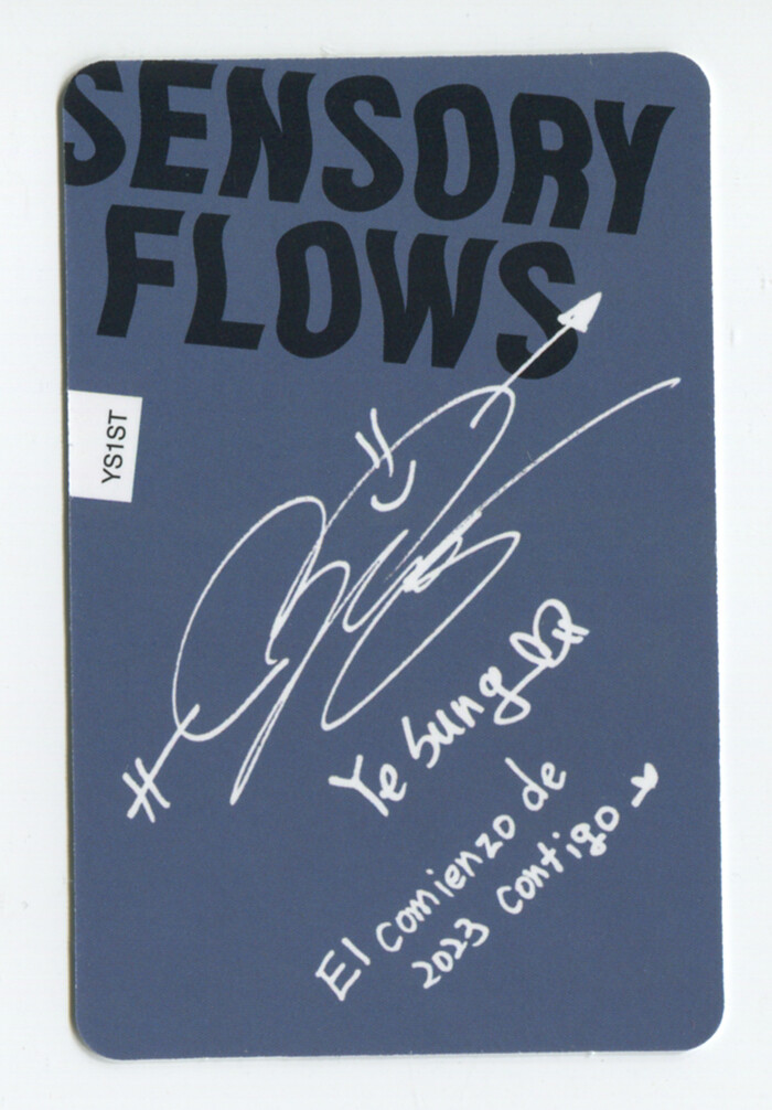 Super Junior イェソン トレカ コンプ Sensory Flows s-l400.jpg