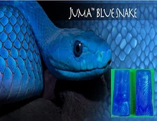 2 Blue Snake Juma .250" Scales 6.0" x 2.0" - Knife Handle Material 