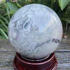 7.9LB 4.7" Natural Shell Stone Ball Crystal Quartz Sphere Healing Reiki Decor