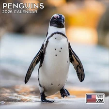 Penguins Calendar 2026 - Cute Wildlife Wall Calendar - Made in the USA!