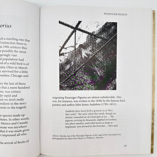 Lost Animals: Extinction & the Photographic Record by Errol Fuller HC Book 2013 - Picture 10 of 22