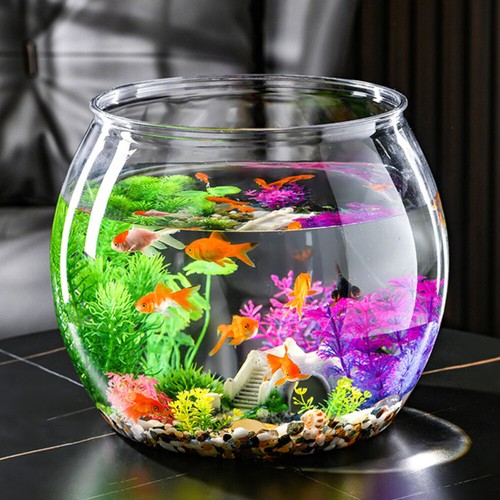 Transparent Fish Tank Office Plastic Goldfish Bowl Mini Unbreakable - Picture 6 of 12
