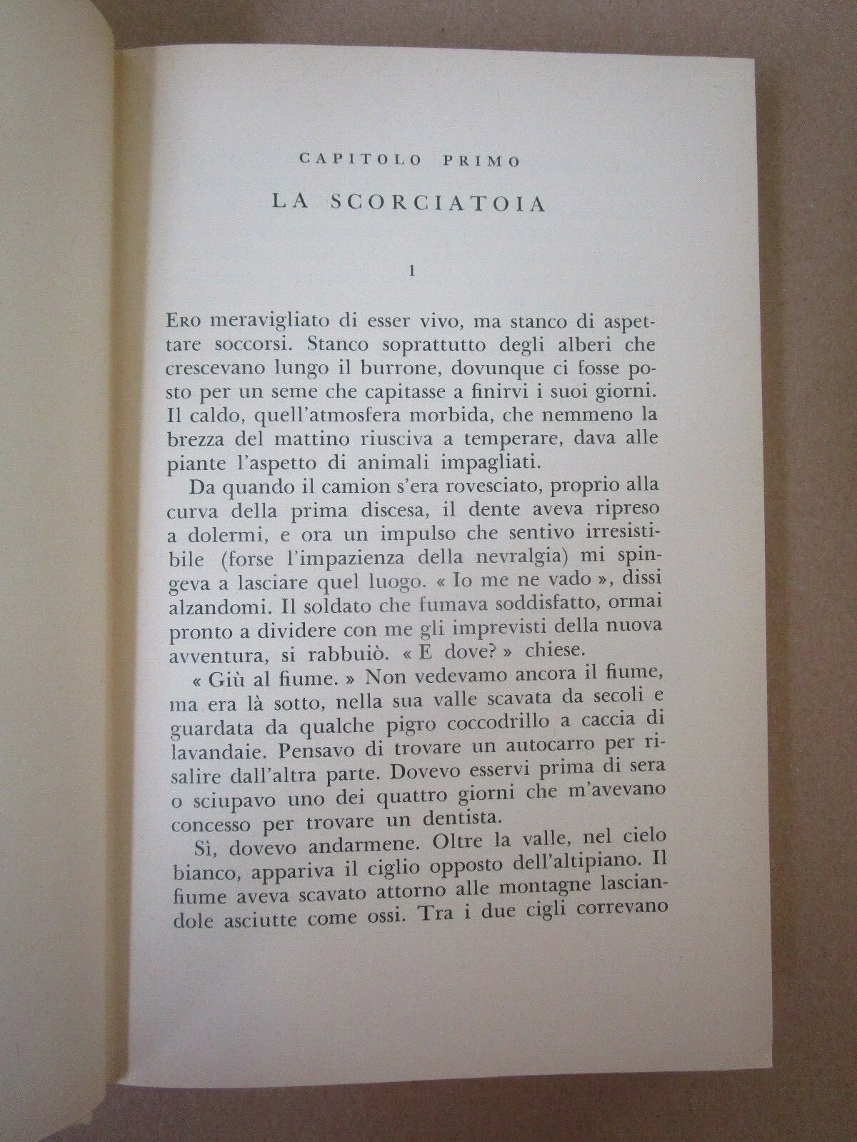 Foto 7 di 10