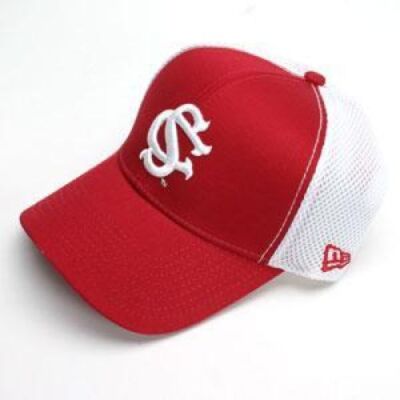 South Carolina Gamecocks New Era Semester Hat