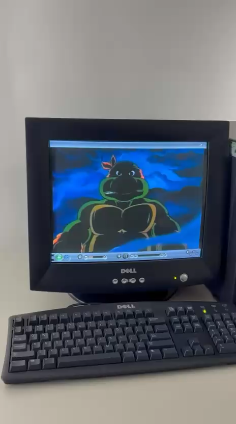 2004 Dell E773C 17in CRT Color Computer Monitor Retro Gaming Y2K Black ...