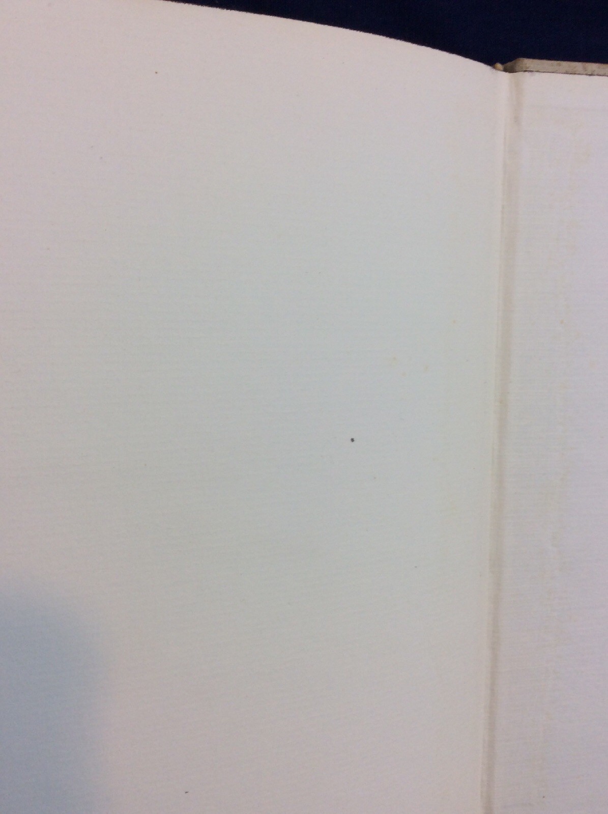 Picture 10 of 12