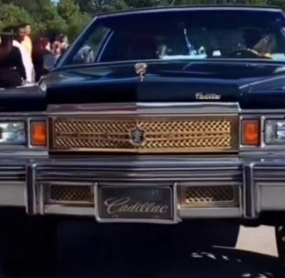 1977 - 1979 Cadillac Deville- Tiarra Grille- 2-wire Gold mesh w