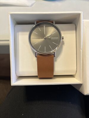 Skagen Denmark Brown Leather Band Silver Watch New | eBay