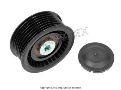 PORSCHE CAYENNE (2003-2006) Drive Belt Idle Roller LEFT / DR. SIDE INA OEM 