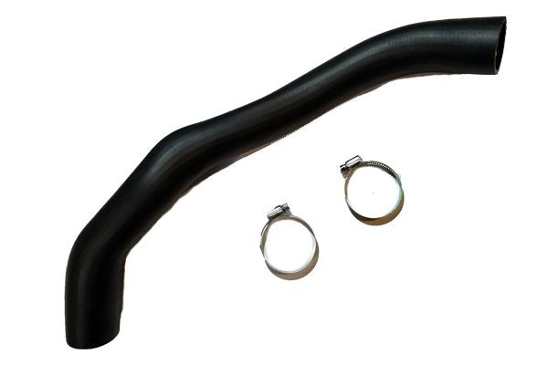 Ladeluftschlauch Unten Bugiad 81889 FÜR CitroËN DS Peugeot Intercooler Schlauch-image
