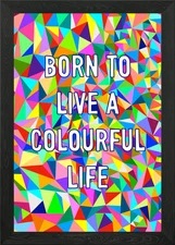 Born To Be Colourful Framed Wall Art Poster Canvas Print Picture