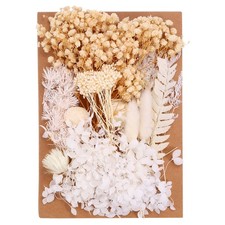 Pressed Flowers Bulk Dried Flowers Natural Pressed Flowers Leaves Beige Series