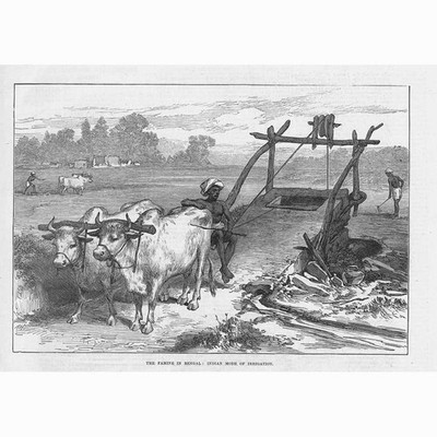 INDIA Famine in Bengal - Indian Mode of Irrigation - Antique Print 1874