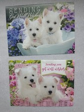 Westie Puppies West Highland White Terrier  2 Cards Get Well White dog Floral