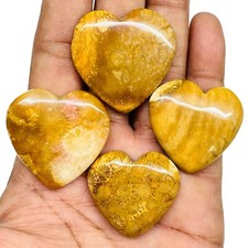 4 Pcs Natural Fossil Coral Heart 29.5-34mm Loose Cabochon Gemstones Lot