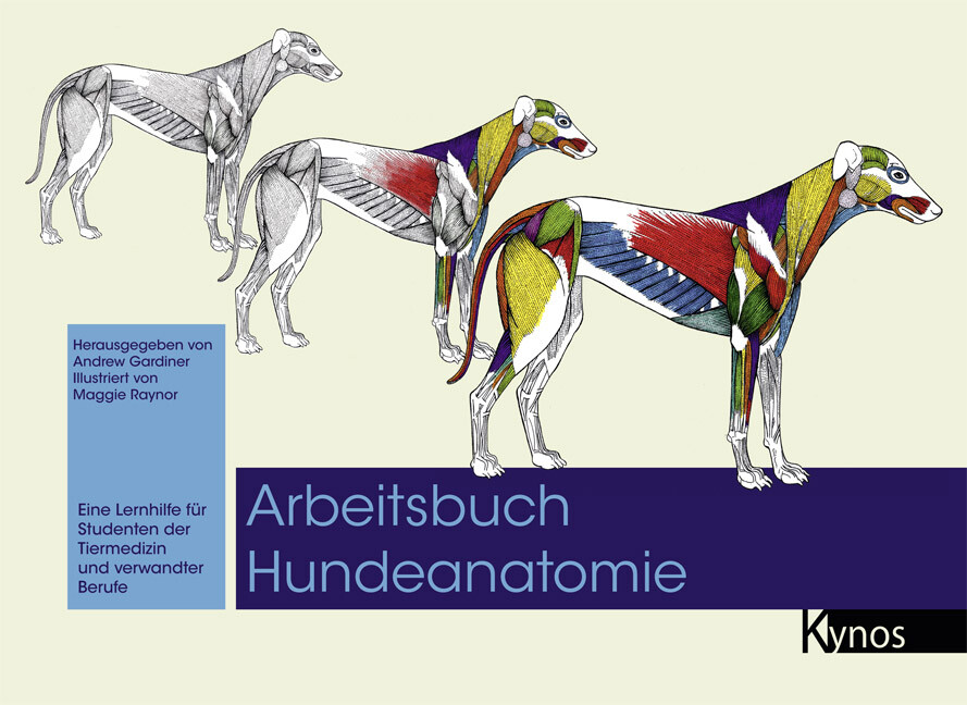 Arbeitsbuch Hundeanatomie Maggie Raynor