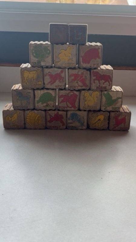 VTG Wooden  Animal Illustration Blocks 50s-60s Set Of 20 Distressed Rough