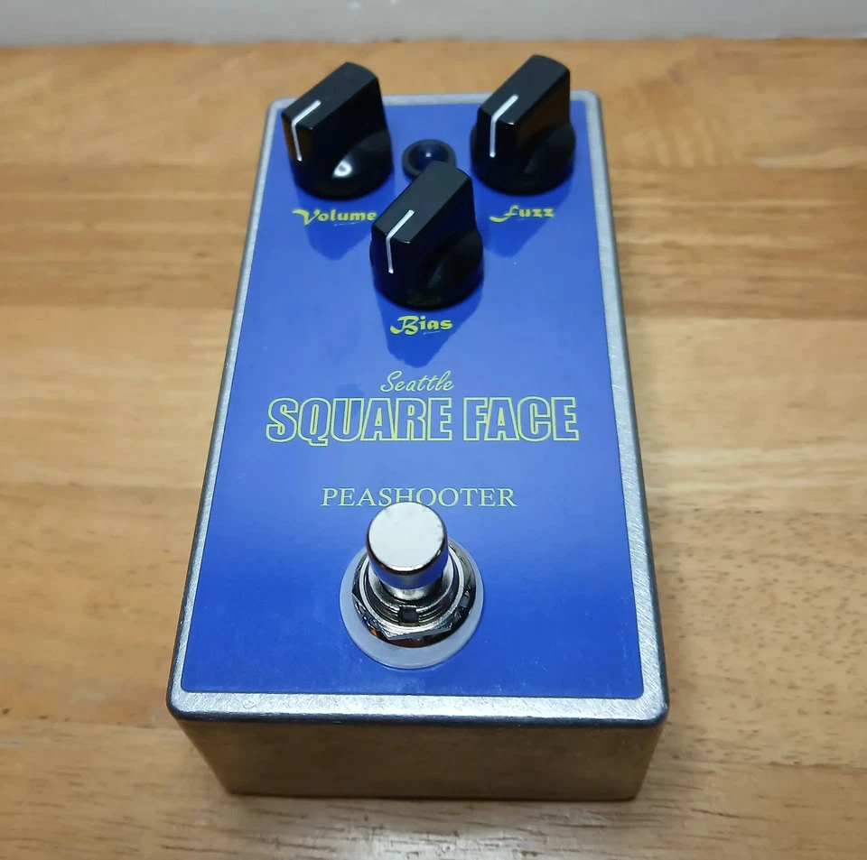 Seattle Square Face - #004 - Nuevo de Lote Antiguo Pedal Facial de Pelusa de Silicona con Sol Limpio y Sesgado Foto 4 de 4