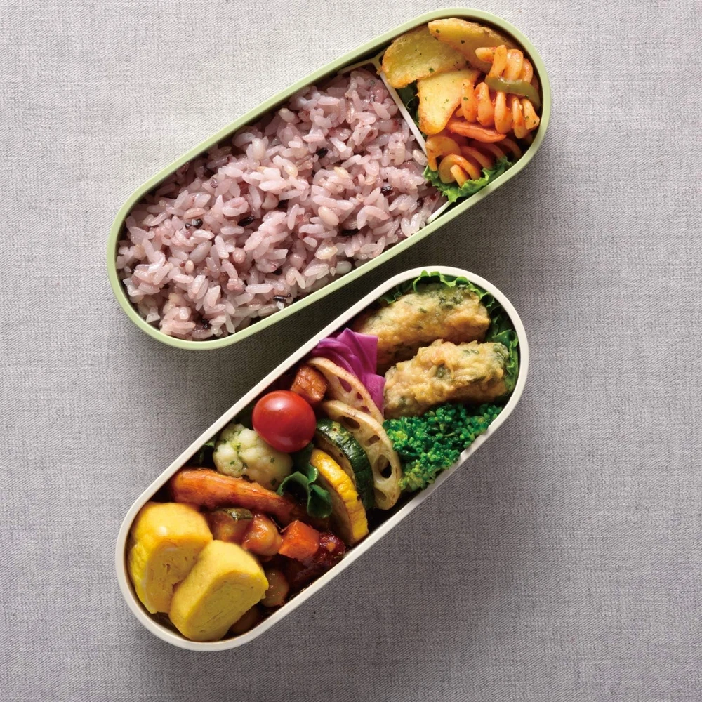 Sirmoss 2-Tier 600ml Bento Lunch Box in Light Green DJT-600W LTG