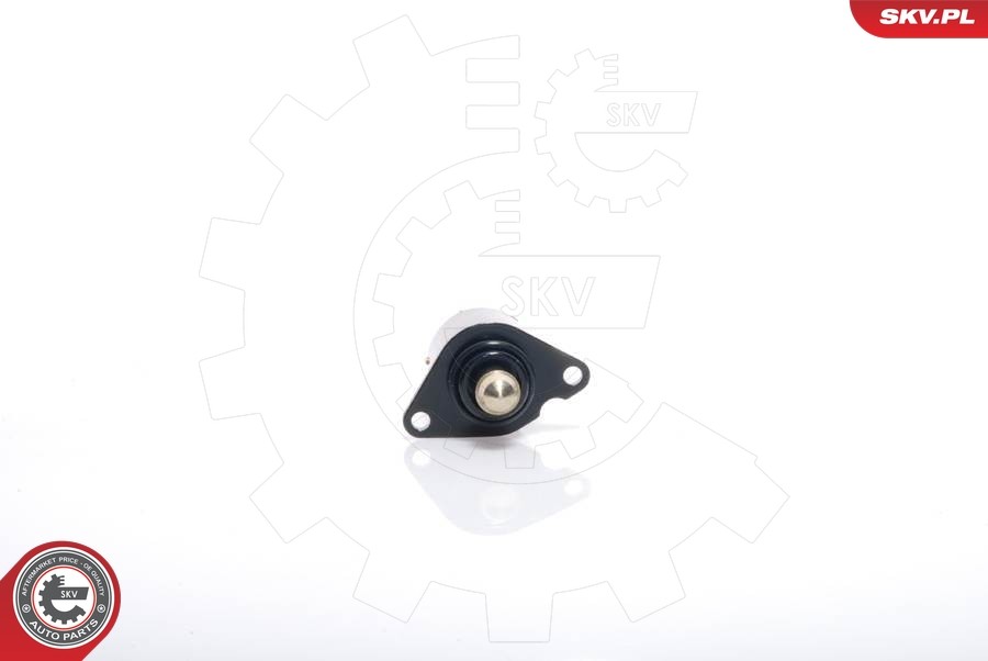 08SKV017 ESEN SKV IDLE CONTROL VALVE, AIR SUPPLY FOR CITROËN PEUGEOT