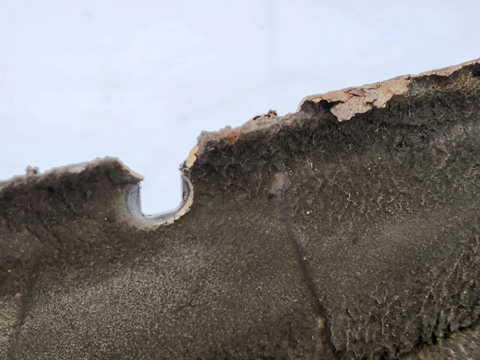 ✅ 82-88 OEM BMW E28 528 535 M5 panel guardabarros delantero derecho pasajero negro 086 * Foto 3 de 4