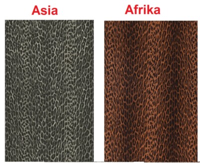 d-c-fix Möbelfolie Klebefolie Design Afrika Oder Asia  45 x 200 cm