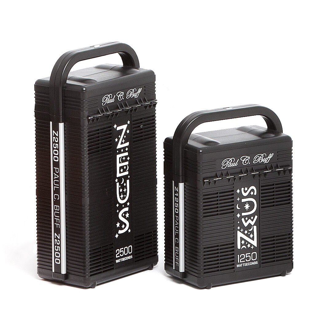Professional Photography Lighting Kit – Paul C Buff 2500W + 1250W