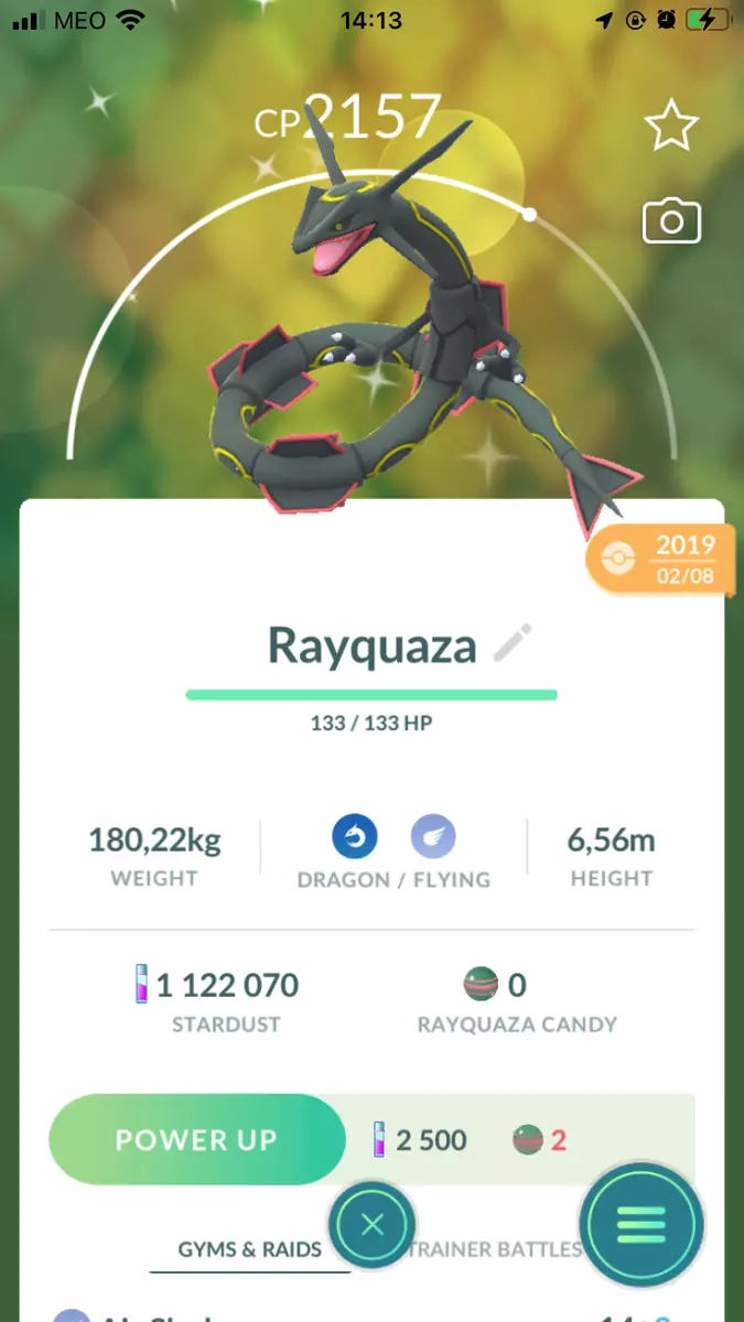 Shiny Rayquaza - Pokemon Go