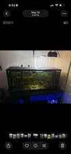 55 Gallon Aquarium With 2 Handmade Turtle Basking Areas Come Get It. No Leaks