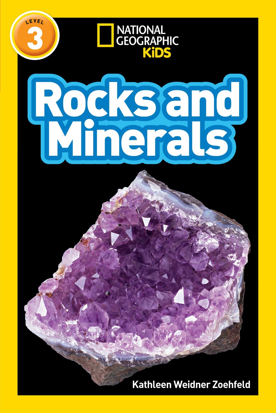 Rocks And Minerals : Level 3 Kathleen Weidner Zoehfeld - Image 2