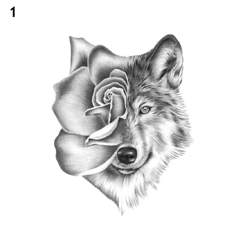 Picture 3 of 42