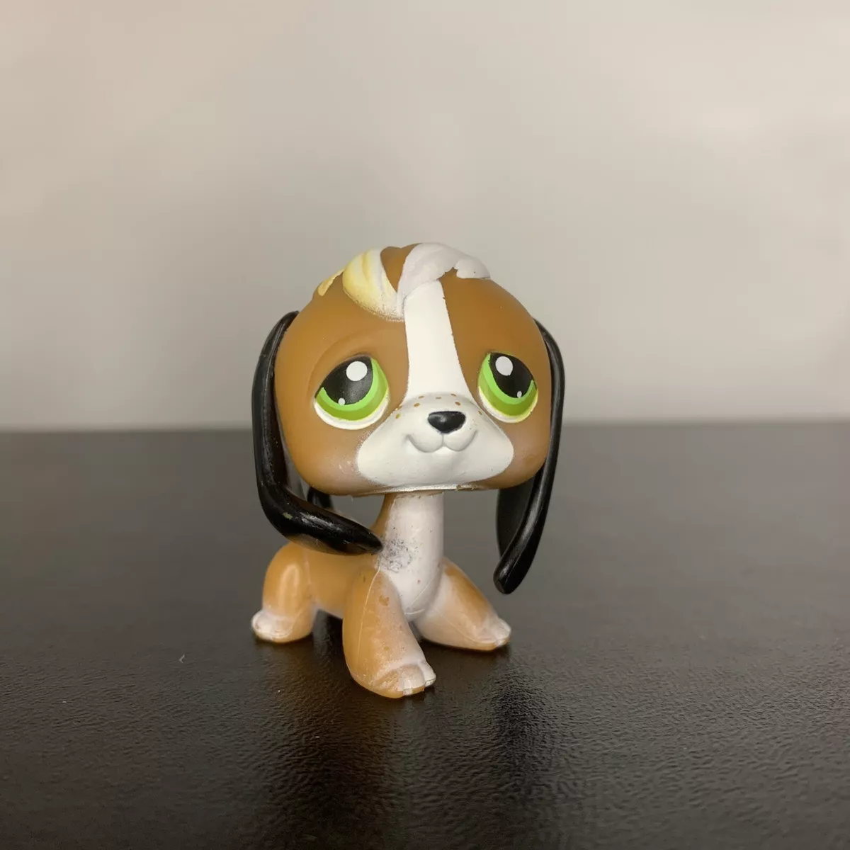 Beagle pet best sale shop