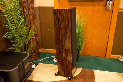 Tannoy Precision 6.2 LE – Limited Edition, #50 of 275 Worldwide