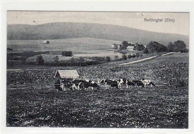 39080727 - Reitlingtal (Elm) cow pasture with forest restaurant Reitling used,