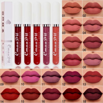 Matte flüssige Lippenstift Lippenfärbung 18 Farben 24 Stunden langanhaltendes wasserfestes Make-up