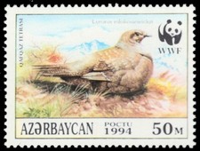 AZERBAIJAN 454a - Caucasian Grouse "Lyrurus mlokosiewiczi" (pb76407)