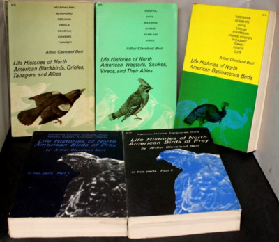 5 Bird Books Wagtails Shrikes Orioles Tanagers Blackbird Birds of Pray Vol 1 & 2