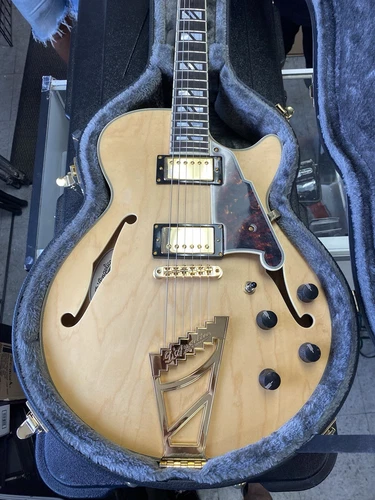 D'Angelico Deluxe SS Semi-Hollow Guitar With Hard Shell Case