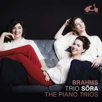 Audio Cd - Johannes Brahms - The Piano Trios (2 Cd) - Dolce Volta (La) -D- Neu