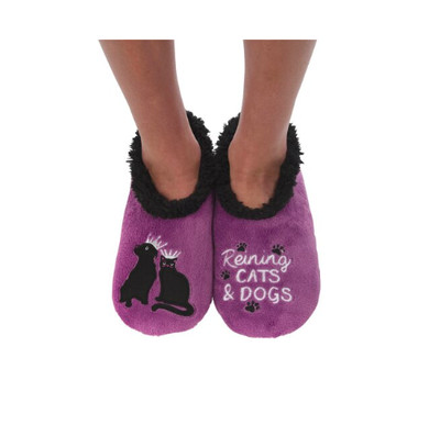 reigning cats and dogs rescue