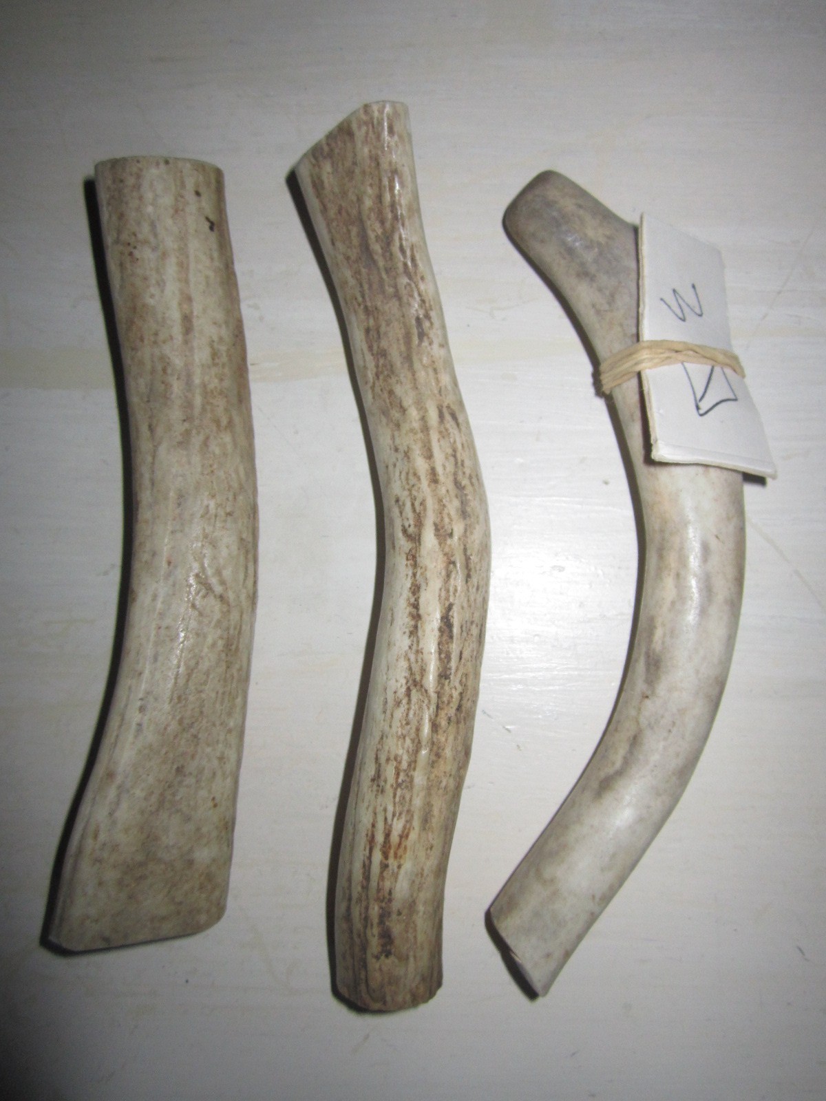 Cornes de cerf contre le tartre canin Lot 3 jouets de mastication Origine France