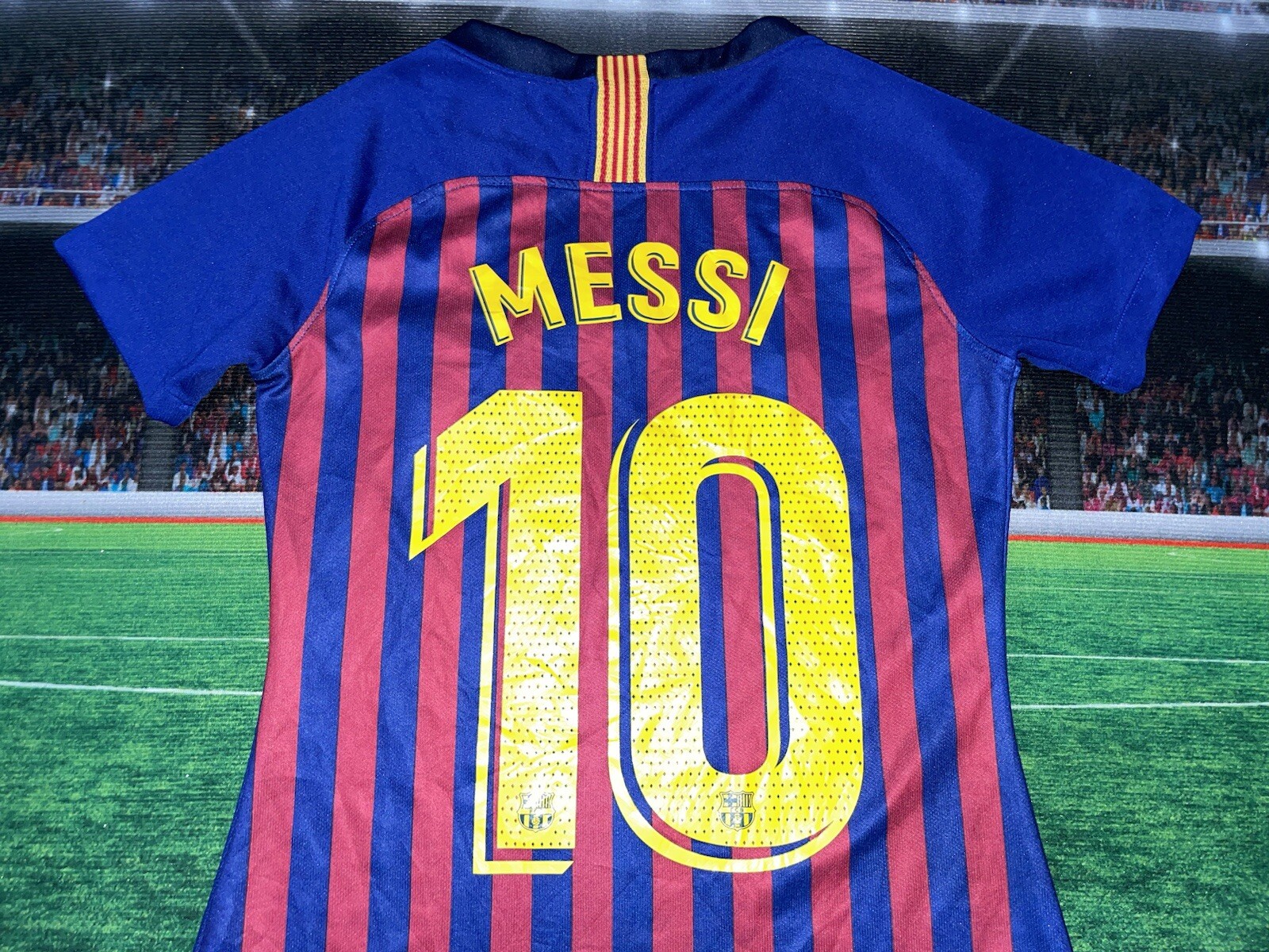 Imagen 10 de 14