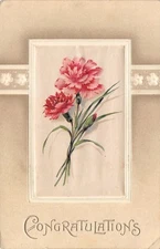 Hot Pink Carnations on Silk Inset~Tan Back~White Embossed~1910 Germany~Postcard