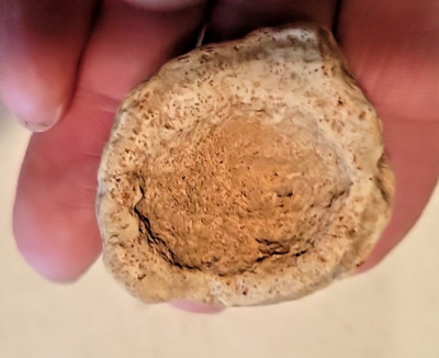 indian artifacts Fingerprint Bowl Michigan hard stone